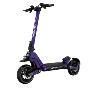 Batería Samsung Smartgyro 48V 30 Ah  ( +104 km autonomia )