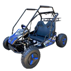 Buggy Electrico Grande Biplaza 2000w