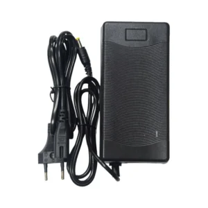 Cargador de batería de plomo 48V 3A con conector DC2.1
