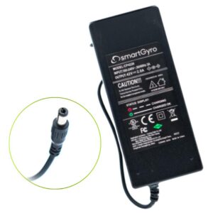 Cargador Smartgyro ZPRO