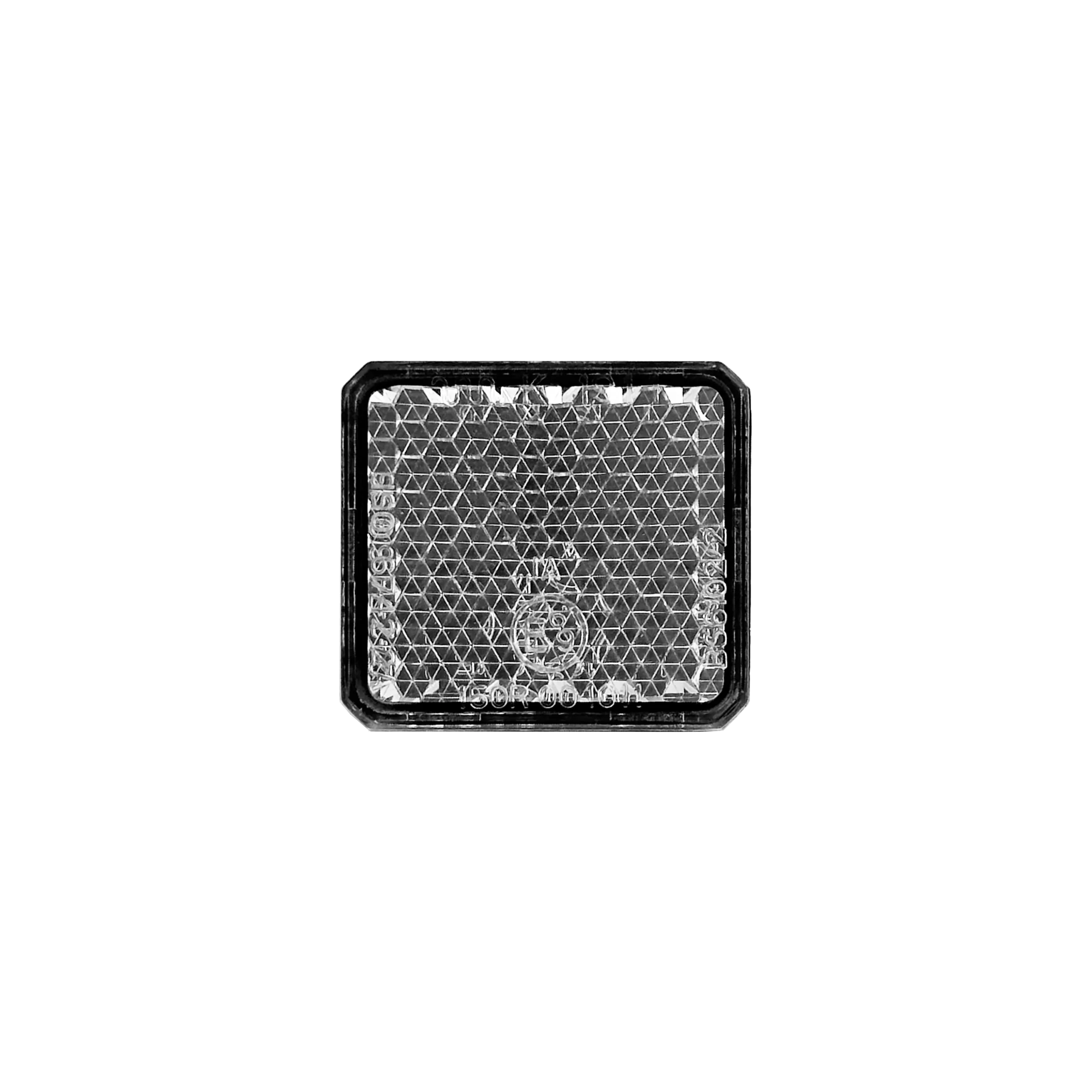 IMG_4996-scaled-1.png