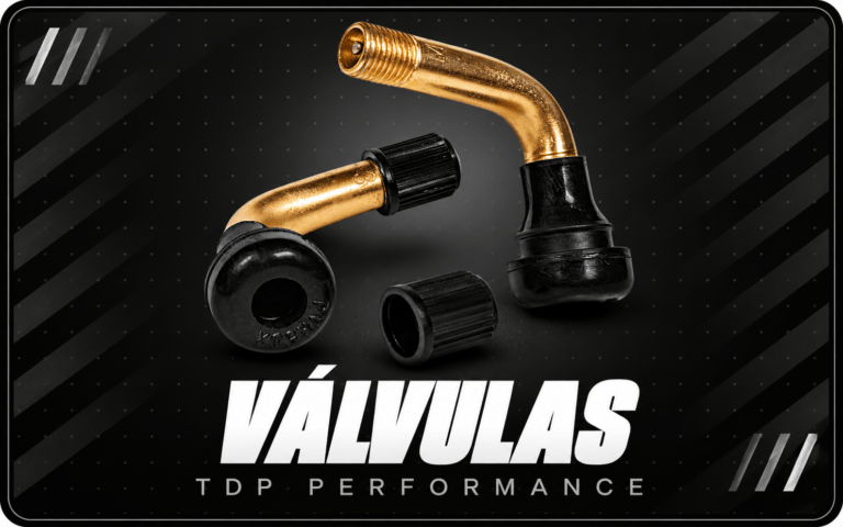 VALVULAS